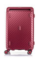STEM SPINNER 76/28 TRUNK  hi-res | Samsonite