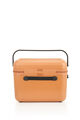 TOIIS C Holiday Bag  hi-res | Samsonite