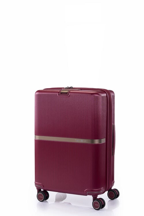 MINTER 行李箱 55厘米/20吋  hi-res | Samsonite