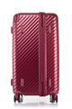 STEM SPINNER 76/28 TRUNK  hi-res | Samsonite