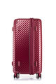 STEM SPINNER 70/26 TRUNK  hi-res | Samsonite