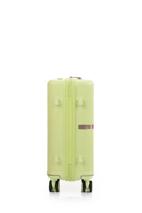 MINTER SPINNER 55/20