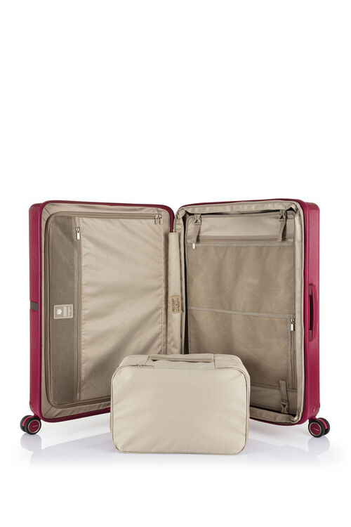 MINTER SPINNER 55/20  hi-res | Samsonite