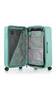 TOIIS BLOSSOM TRUNK + COVER  hi-res | Samsonite