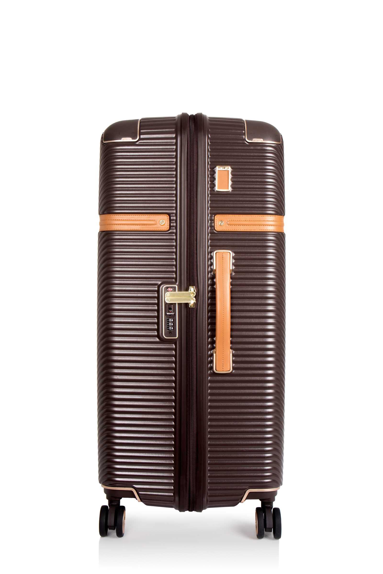 Samsonite richmond black label 2025