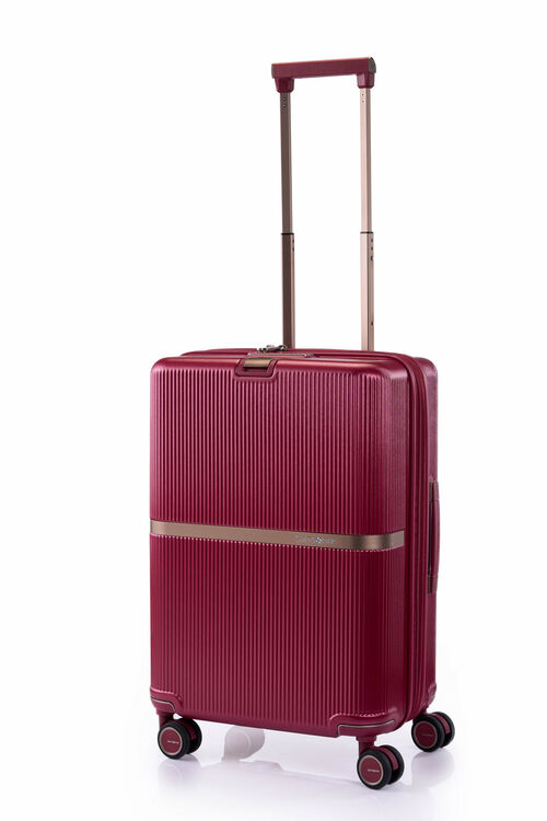 Samsonite 22 sales