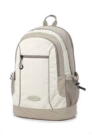 BIRNIE 背囊  hi-res | Samsonite