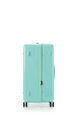 TOIIS BLOSSOM TRUNK + COVER  hi-res | Samsonite