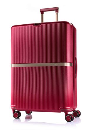 MINTER 行李箱 75厘米/28吋 (可擴充)  hi-res | Samsonite