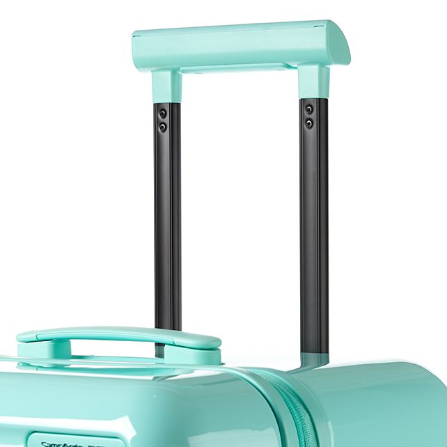 TOIIS BLOSSOM TRUNK + COVER  detail | Samsonite