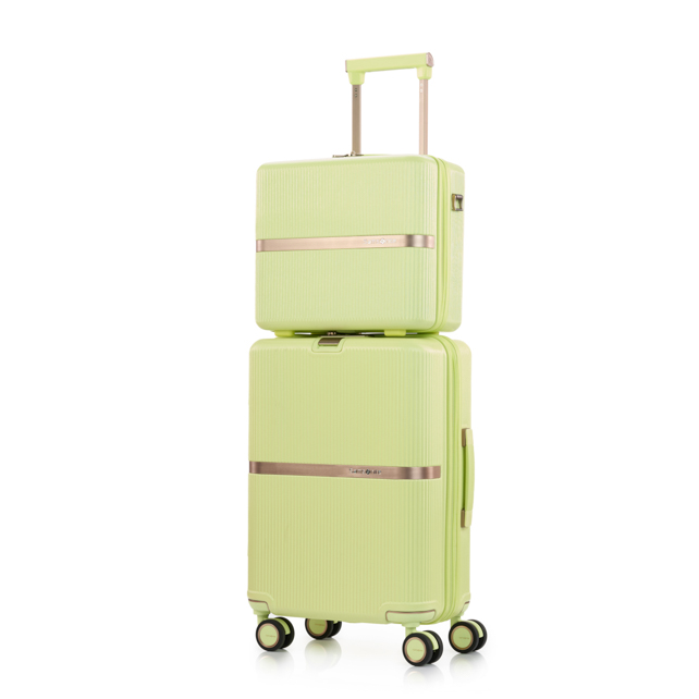 MINTER SPINNER 55/20  detail | Samsonite