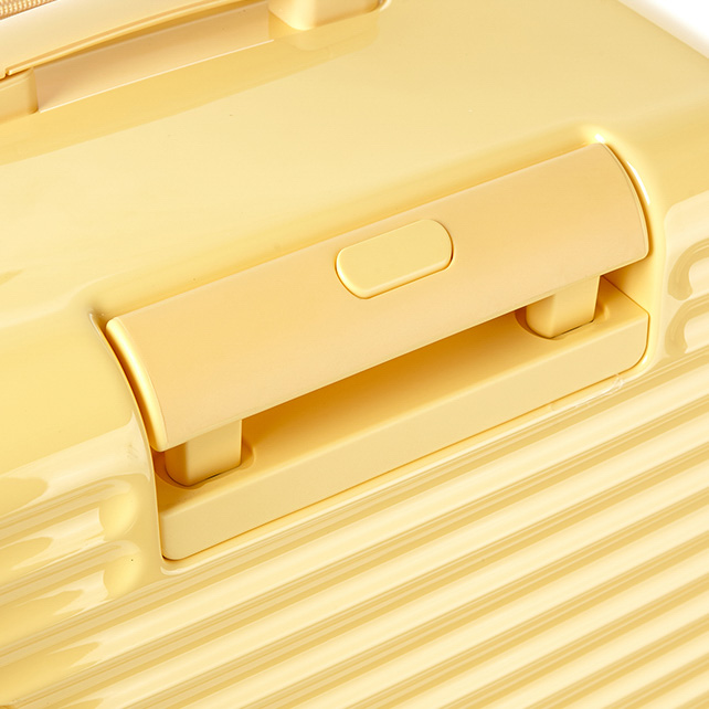 TOIIS BLOSSOM TRUNK + COVER